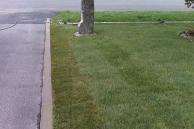 Muskoka Sod Laying and Installation