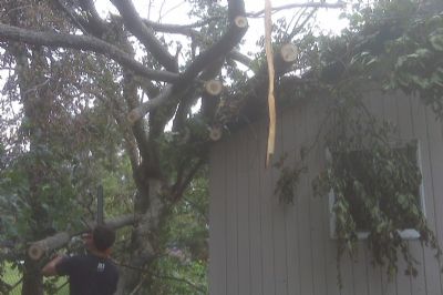 Muskoka Storm Clean-Up