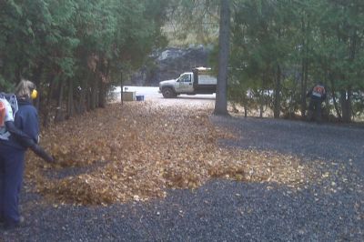 Muskoka Fall Clean Up